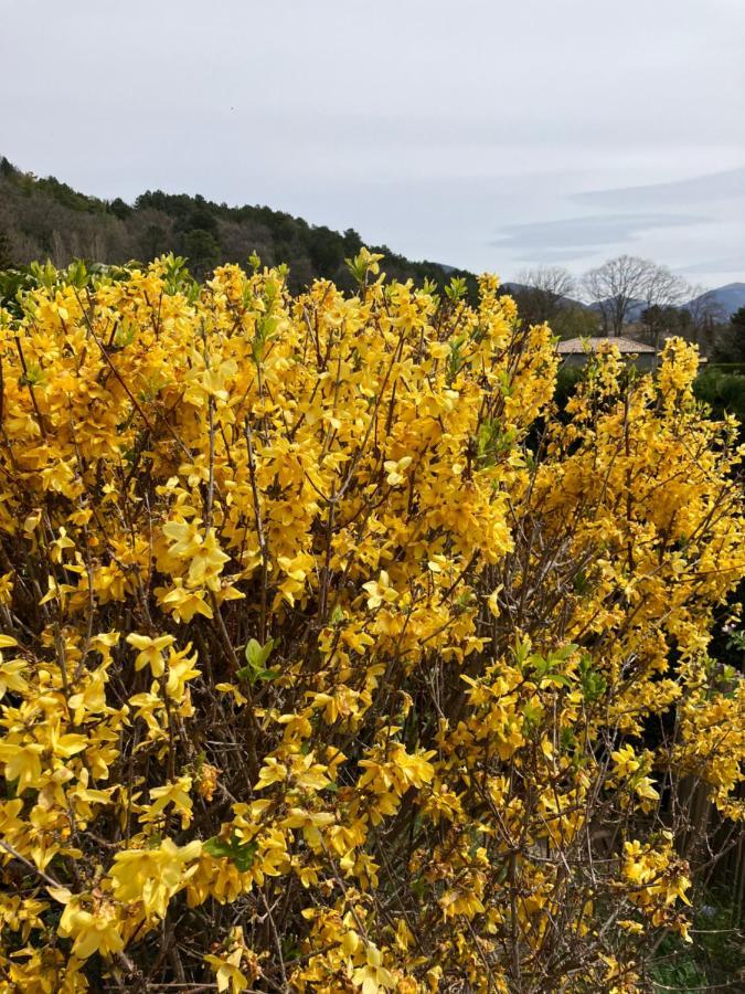 Appartamento La Fabrique Des Petits Bonheurs Dieulefit Esterno foto